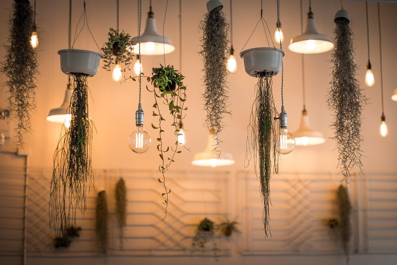 Hanging Gardens